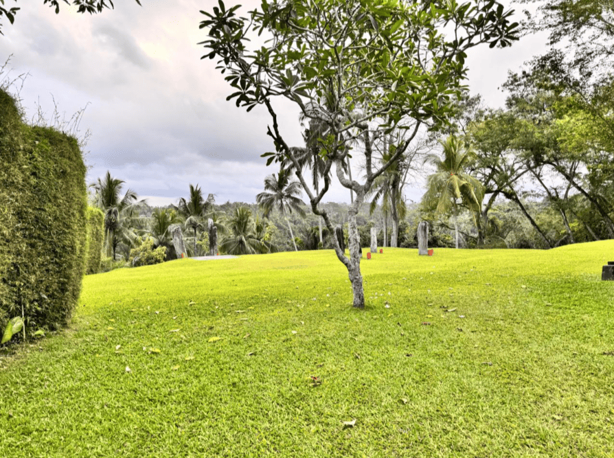 ALILA UBUD 5*