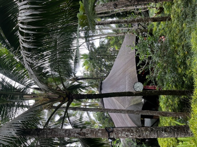 CAPELLA UBUD