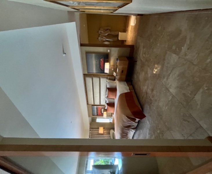 The Mulia