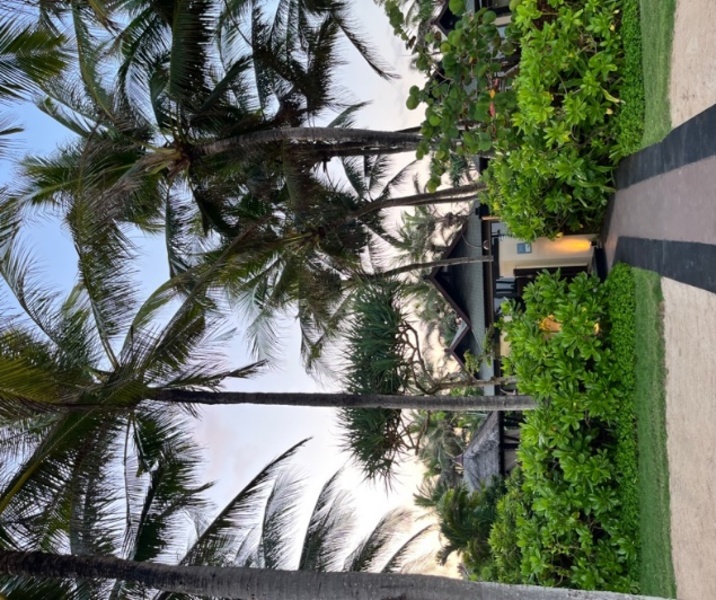 St. REGIS BALI