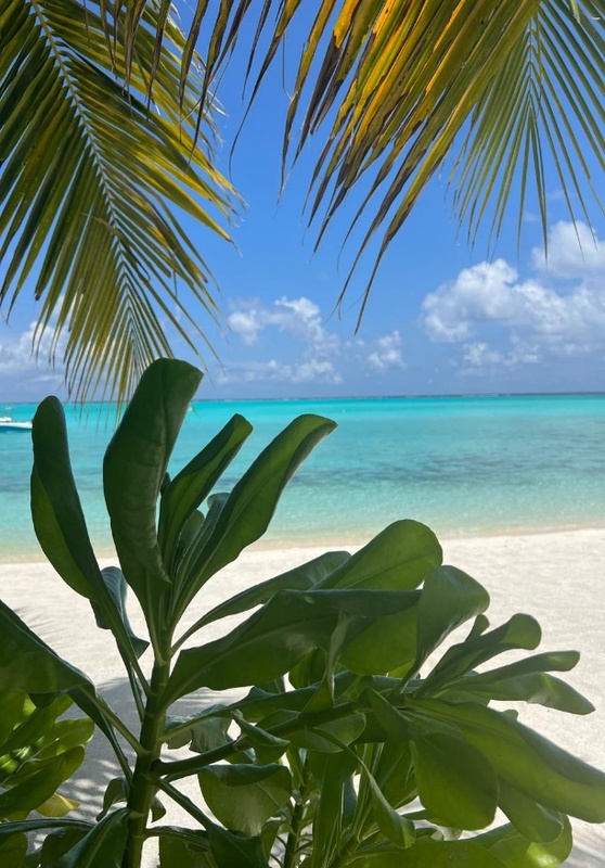 JW Marriott Maldives Kaafu Atoll Island Resort
