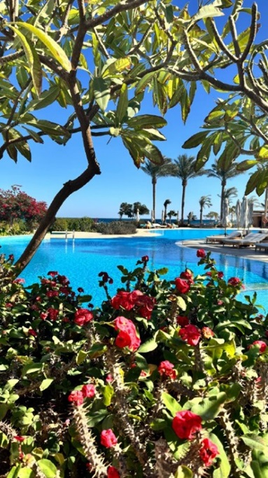 Baron Palace Resort Sahl Hasheesh 5*