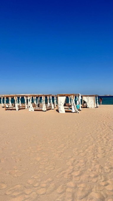 Baron Palace Resort Sahl Hasheesh 5*