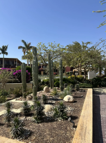Mövenpick Resort & Spa Tala Bay Aqaba 5*