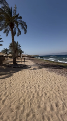 Mövenpick Resort & Spa Tala Bay Aqaba 5*