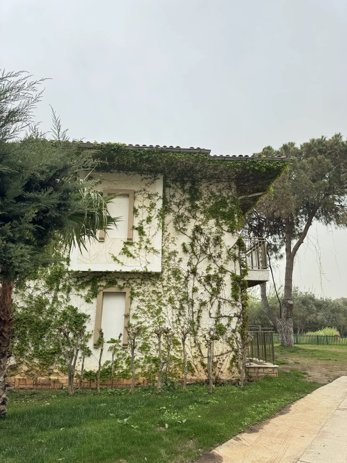 Belconti Resort 5*
