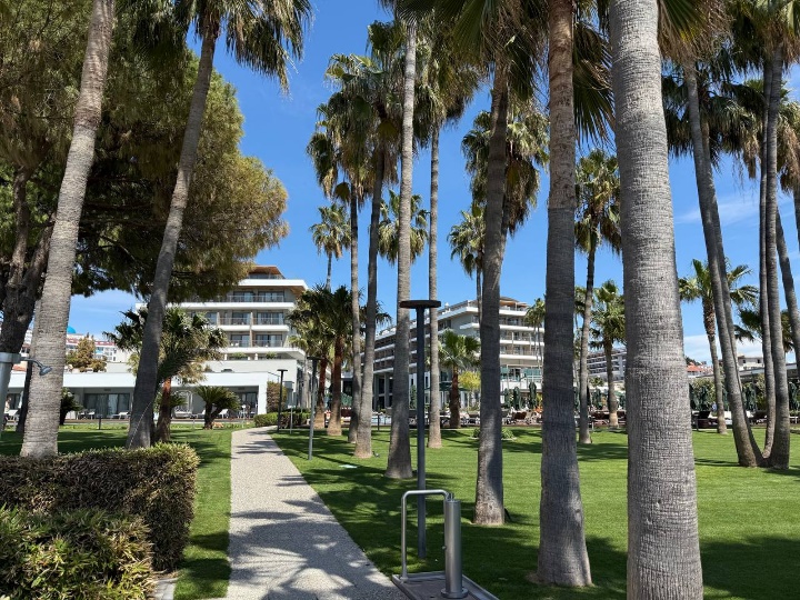Acanthus & Cennet Barut Collection