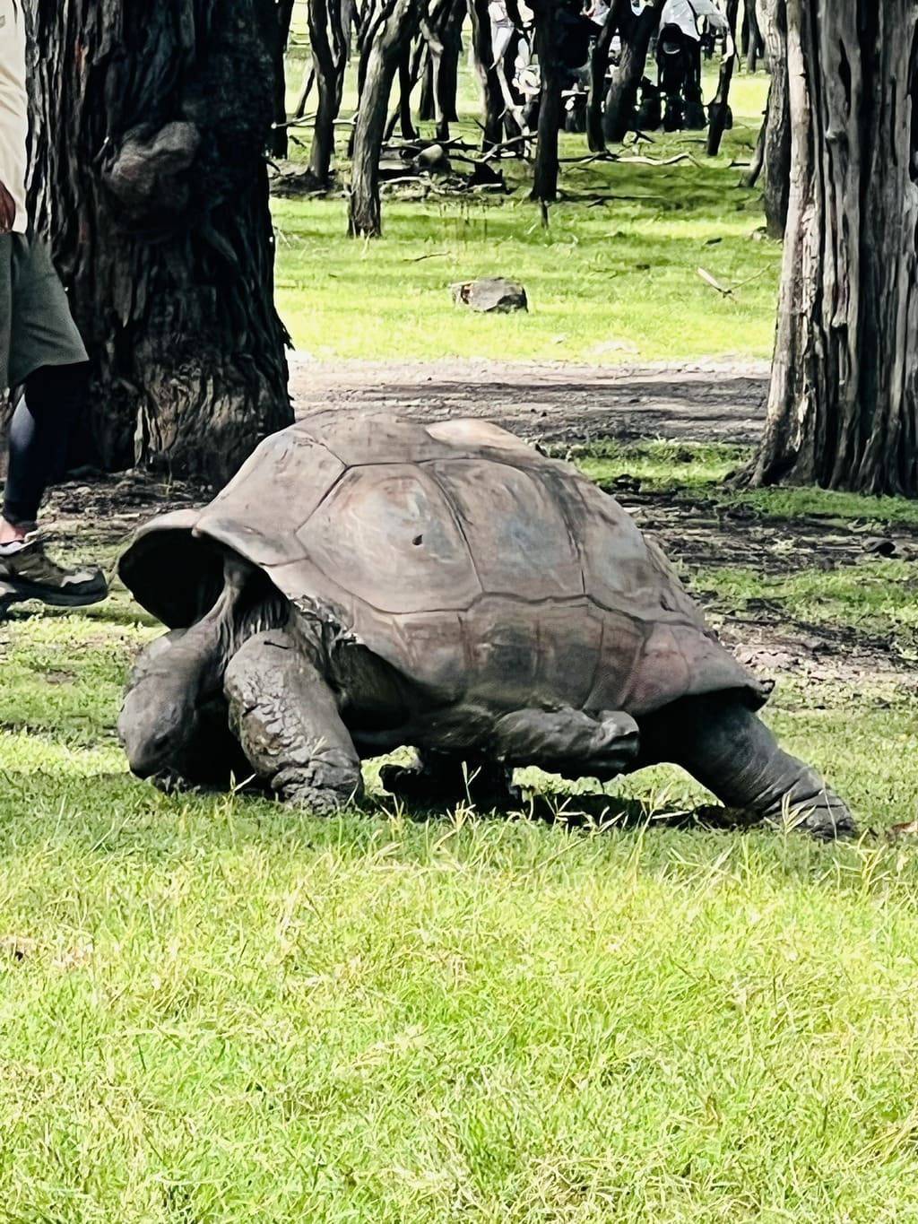 Casela Nature Park