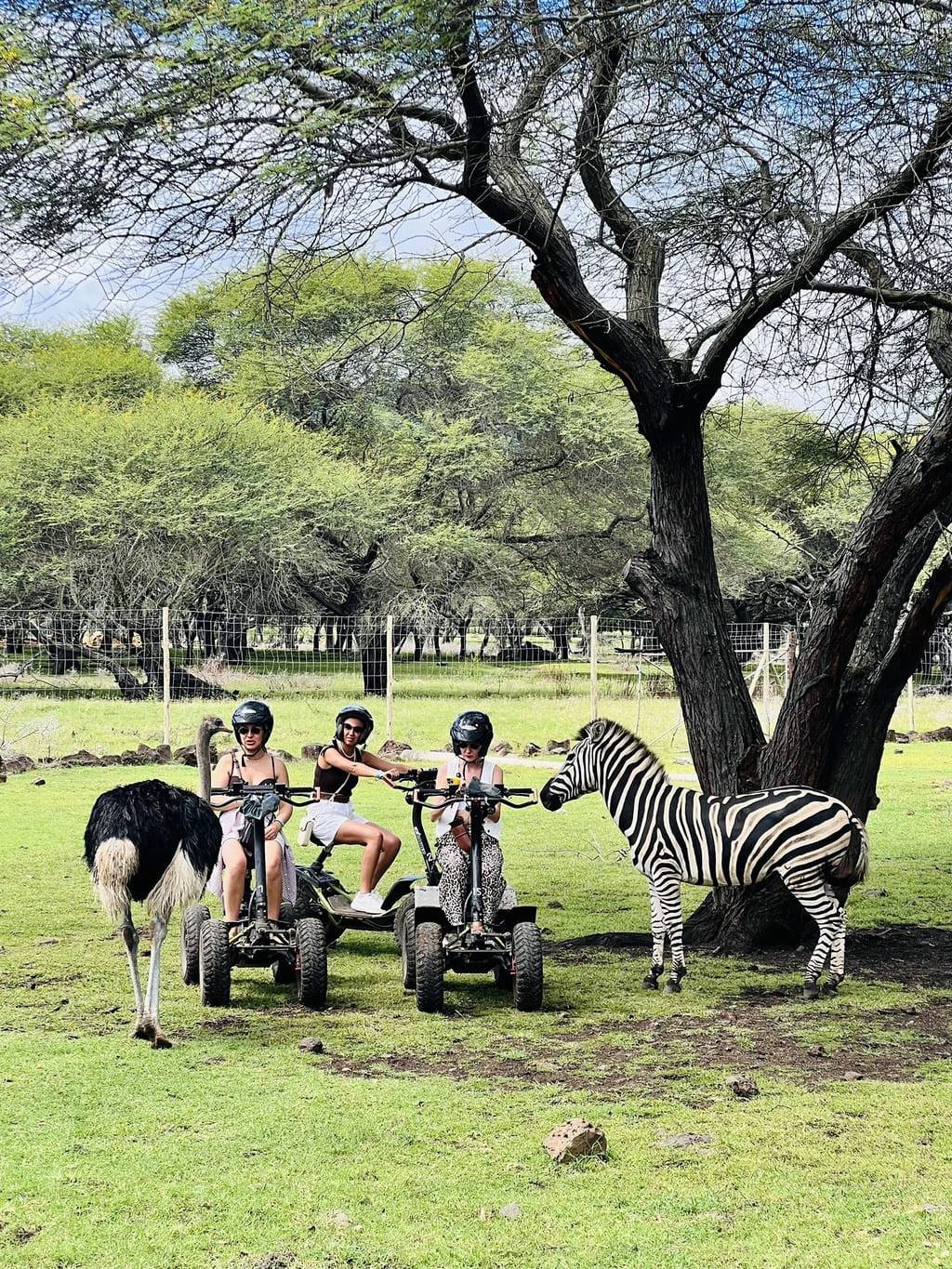 Casela Nature Park