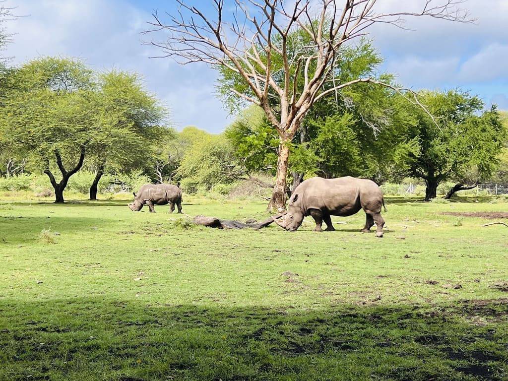 Casela Nature Park