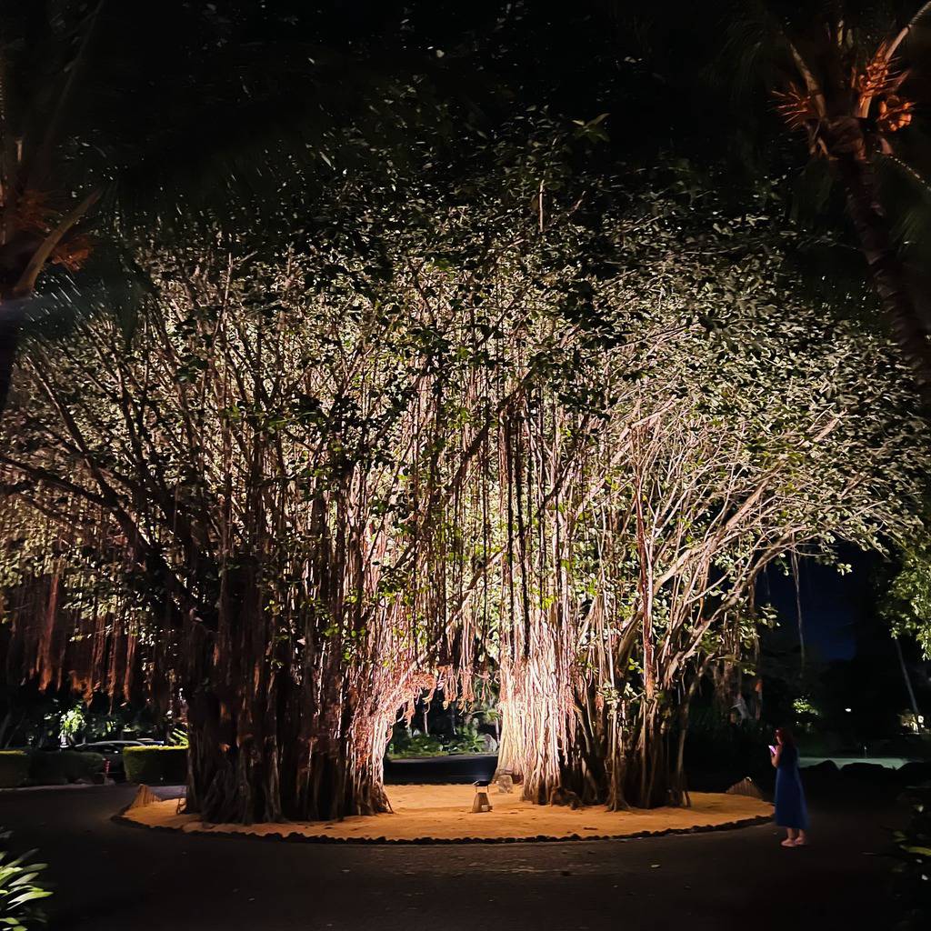 Trou aux Biches Beachcomber Golf Resort & Spa 5*