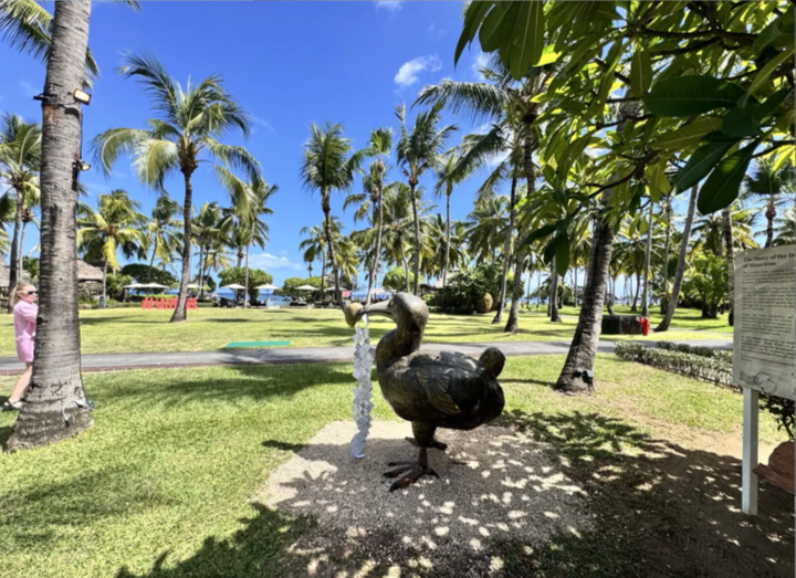 La Pirogue