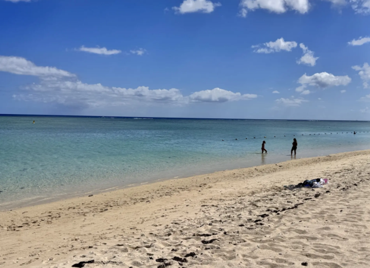 La Pirogue