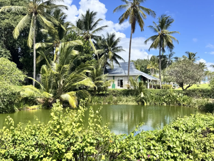 Sugar Beach Mauritius