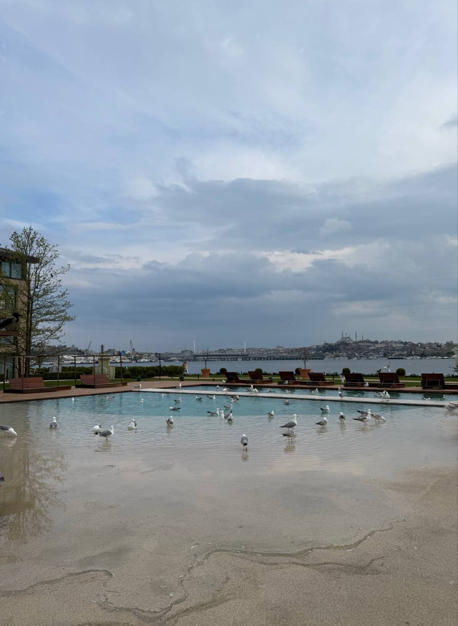 Aliée Istanbul 