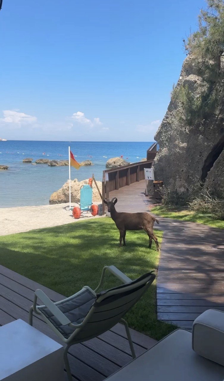 MAXX ROYAL KEMER