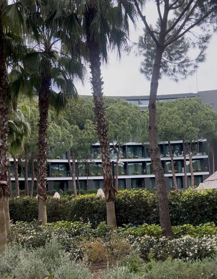 VOYAGE BELEK