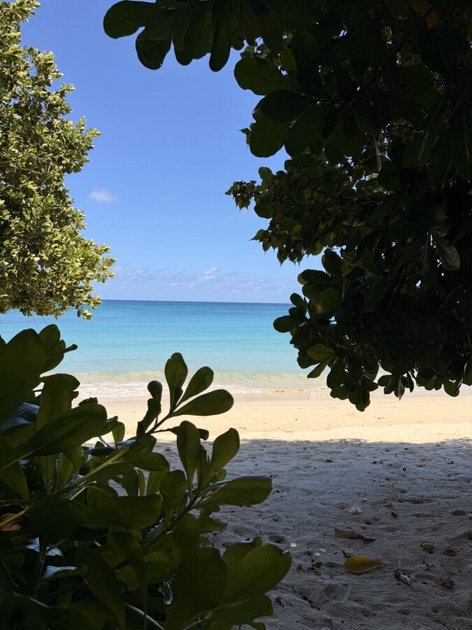 Anantara Maia Seychelles