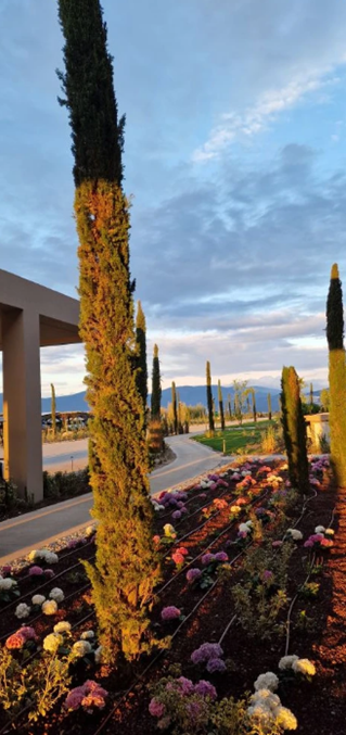 Akra Didim Resort & SPA 