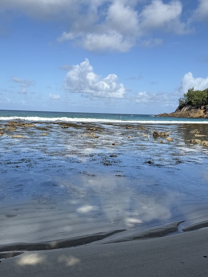 Avani+ Barbarons Seychelles 