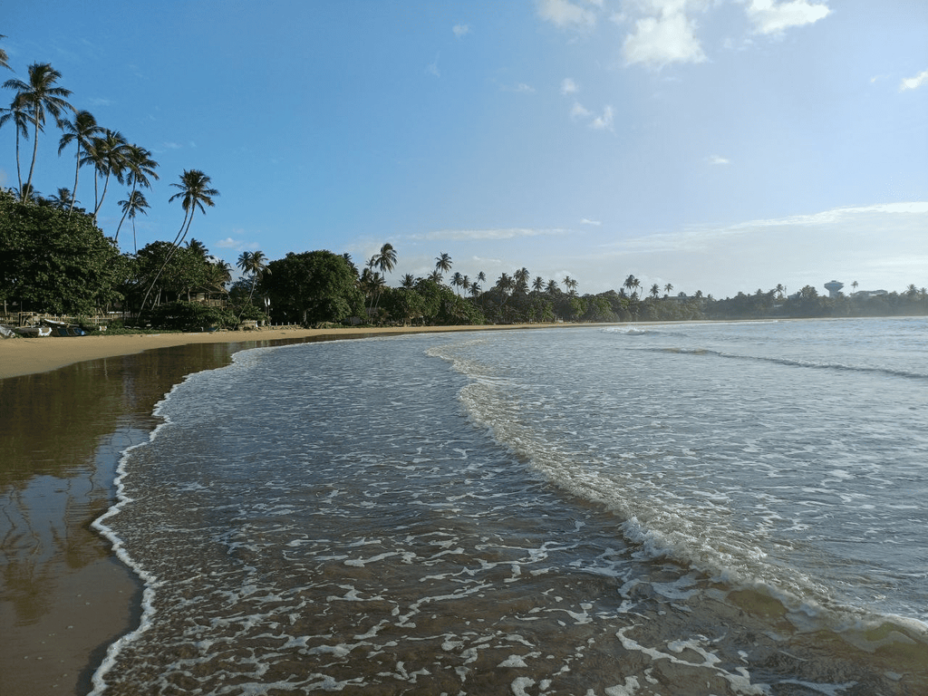 Dickwella Resort & SPA 4*, Диквелла