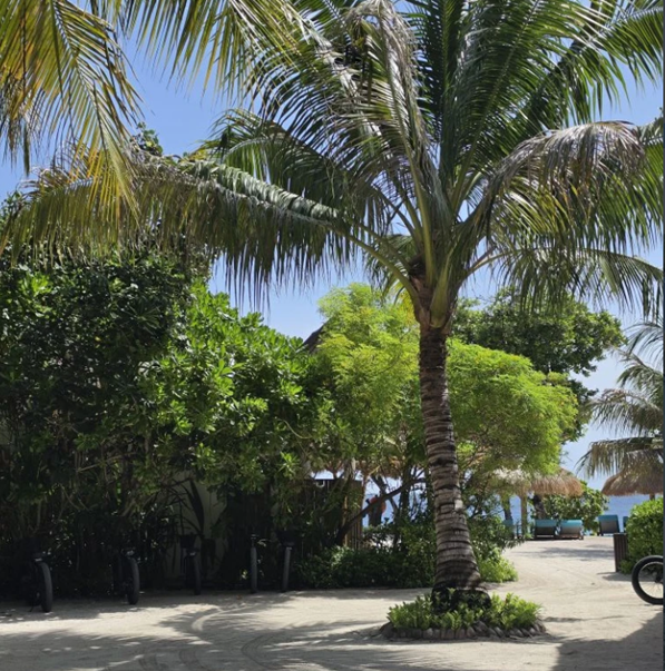 Emerald Maldives Resort & Spa
