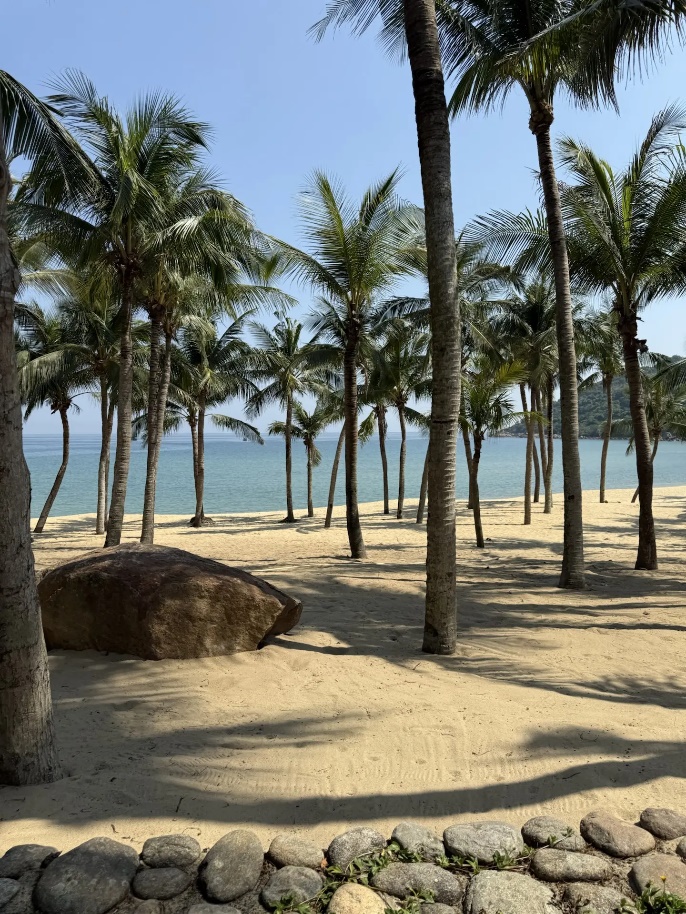 Intercontinental Danang 5* 