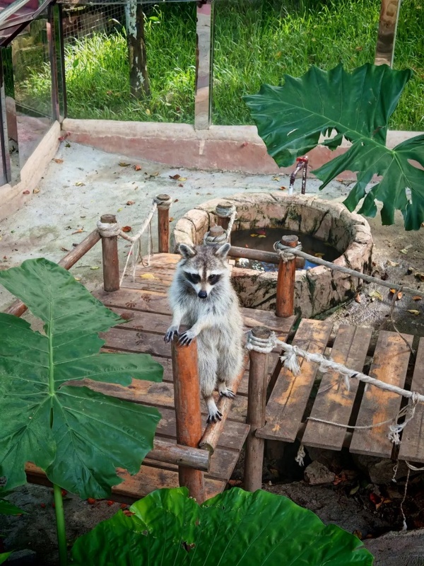 парк Янода, Хайнань
