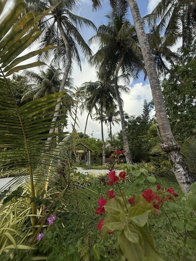 Furaveri Island Resort