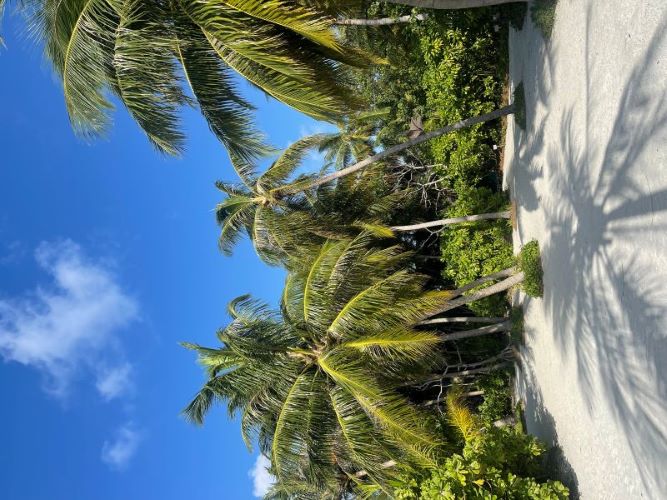 Nova Maldives 5*