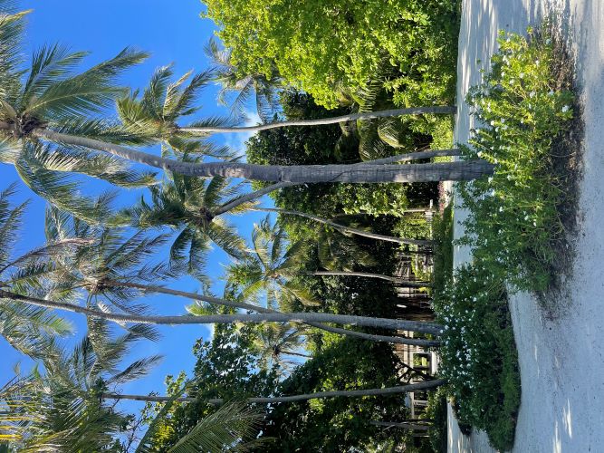 Le Meridien Maldives 5*