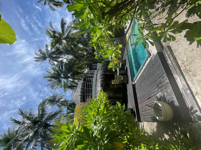W Maldives 5*