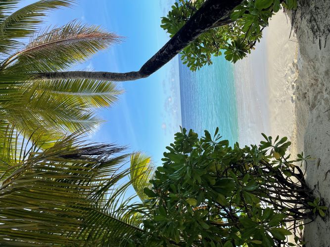W Maldives 5*