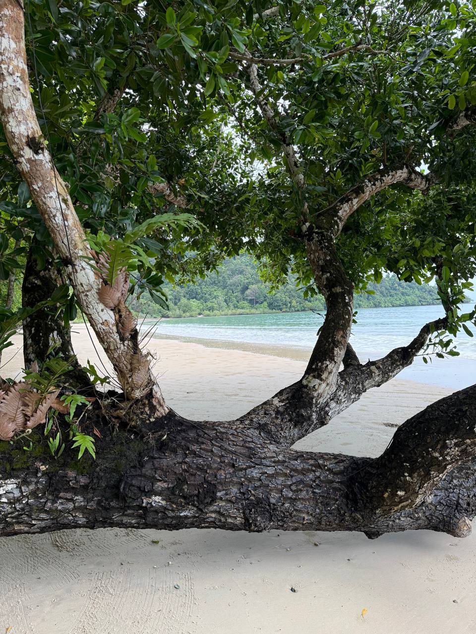 The Datai Langkawi