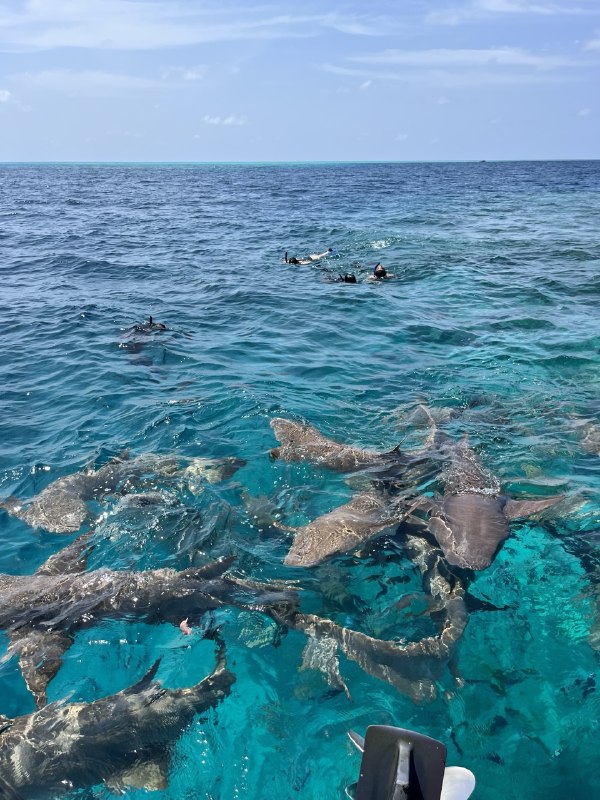 Sun Siyam Olhuveli