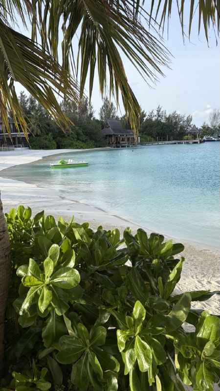 Grand Park Kodhipparu
