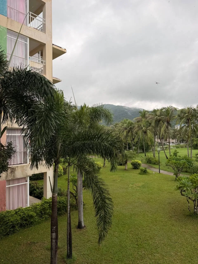 Golden Palm Resort 