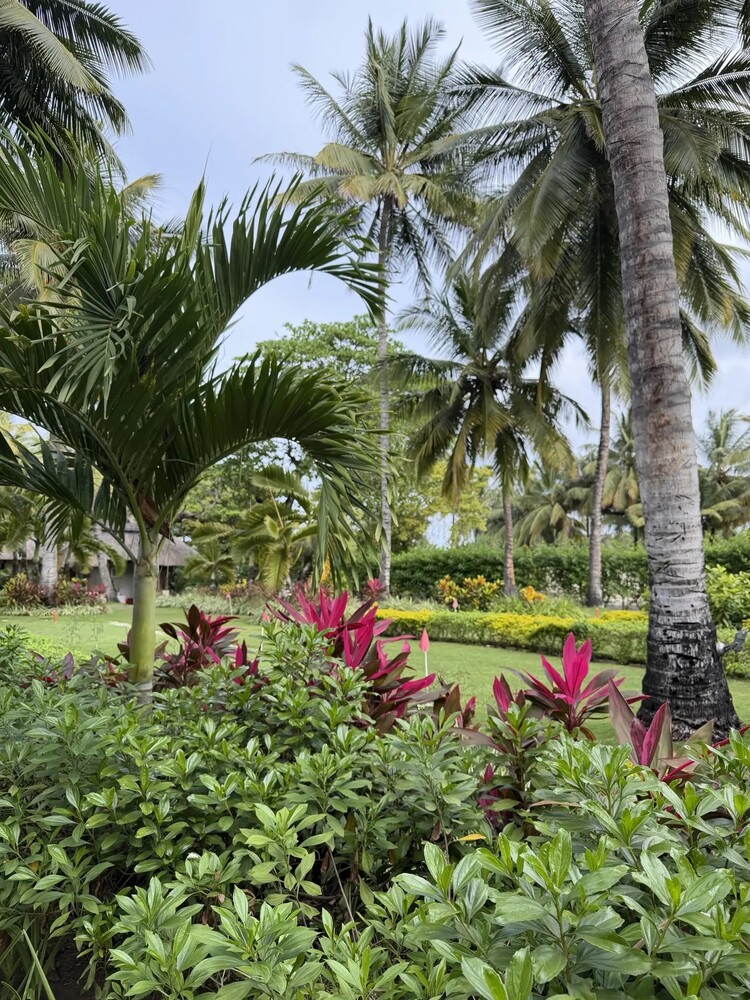 Constance Belle Mare Plage 