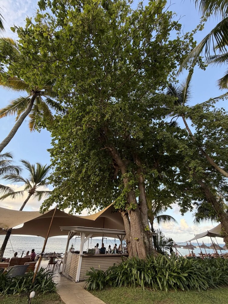 One & Only Le Saint Geran