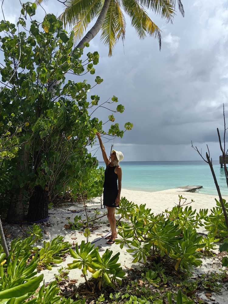 Veligandu Resort & SPA 