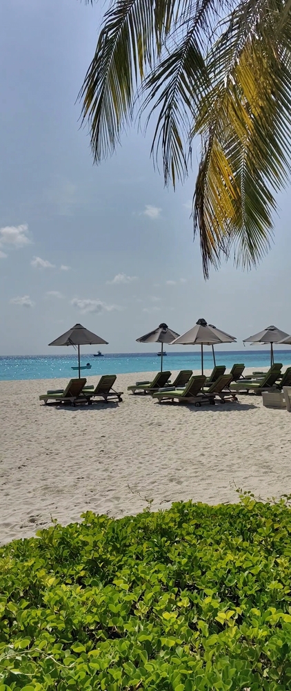 JA Manafaru 