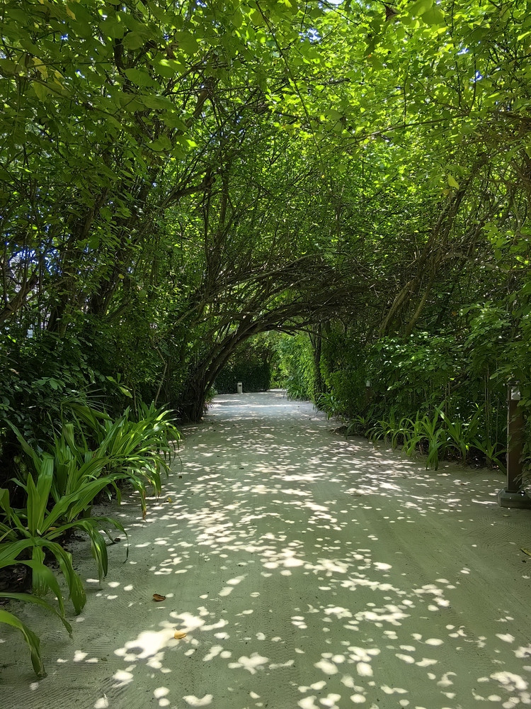 JA Manafaru 