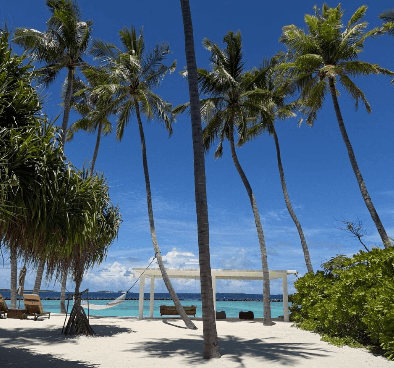 Siyam World 5*