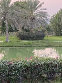 Raffles Al Areen Palace Bahrain