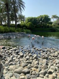 The Ritz-Carlton, Bahrain