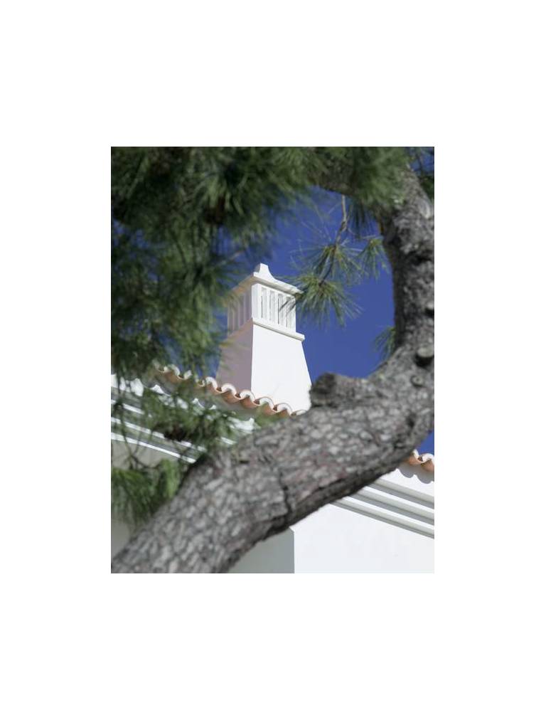 Stella Maris