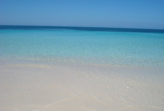 Latino Bay