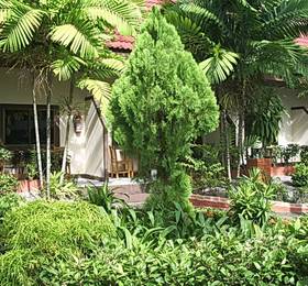Отдых в Club Coconut Resort - Таиланд, Пхукет