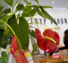 Туры в Tryp Verona в Италии