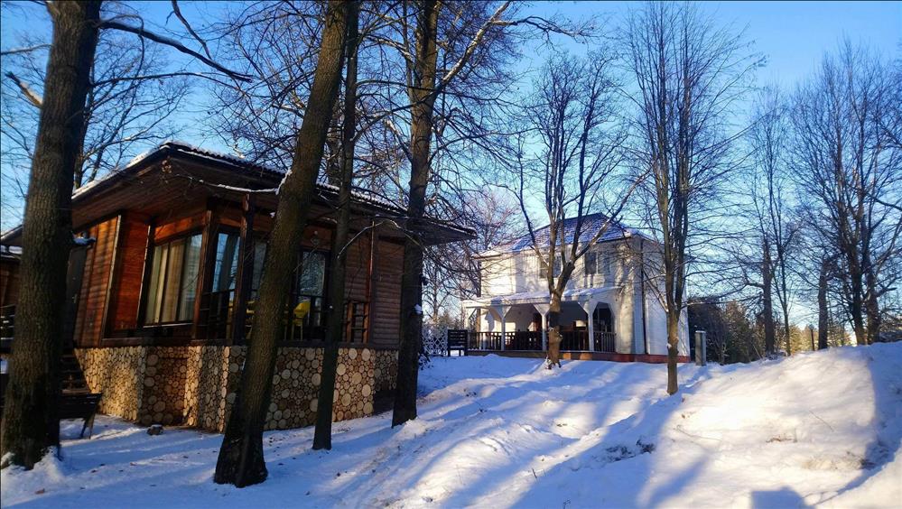 Foresta Festival Park